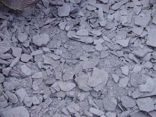 photo du produit Ardoise Pilée sac 25kg