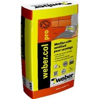 photo du produit Weber.Col Pro Gris 5kg